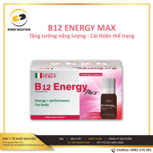 b12 energy max