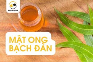 mật ong bạch đàn - hỗ trợ giảm ho tự nhiên