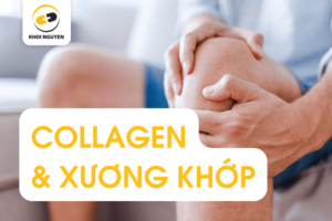vai trò của collagen với sức khỏe xương khớp