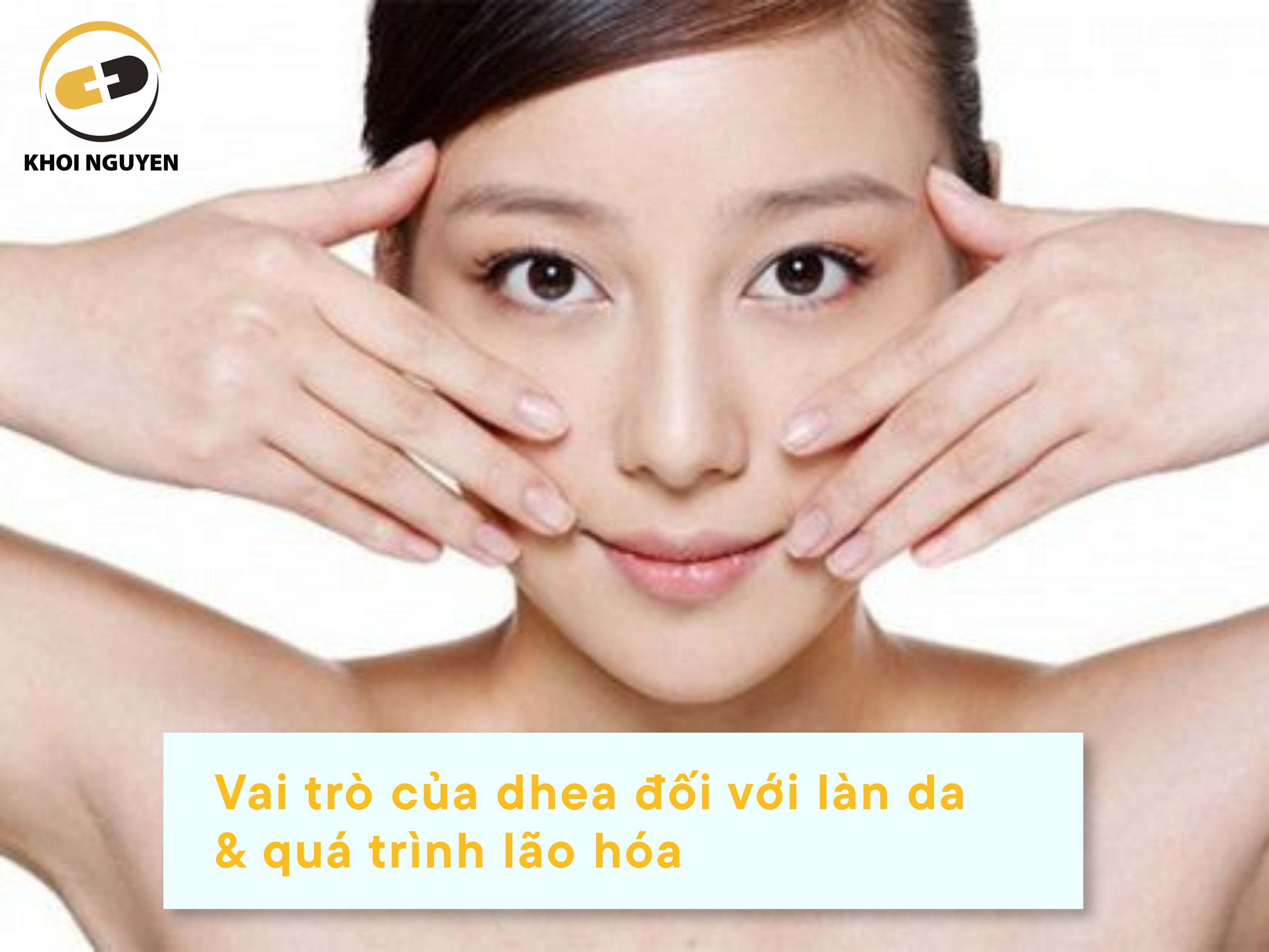 Vai trò của DHEA lên làn da & quá trình lão hóa